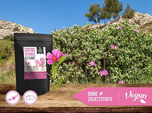Cistus Incanus Extrakt | 40% Polyphenole | 120 Kapseln 400mg | Zistrose ohne Zusatzstoffe | hochdosiert vegan in Deutschland hergestellt (Kapseln 120)