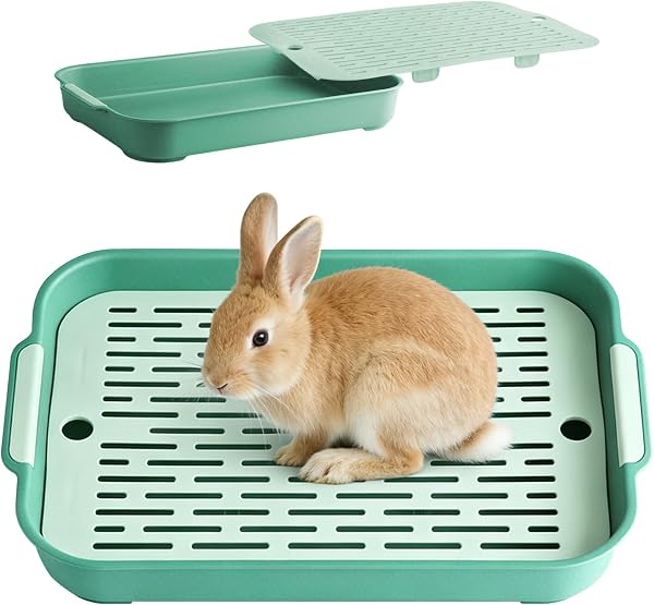 MFUSUL Bandeja de aseo de conejos, aseo de conejos, aseo de conejos, aseo de conejos, aseo de conejos para animales pequeños, conejos, cobayas - 1