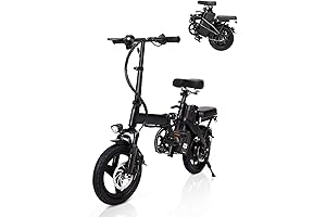 Electric Bike with 350W Motor for Adults