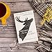 Mischief Acts: 'Joyous' THE TIMES, Best summer reads 2022