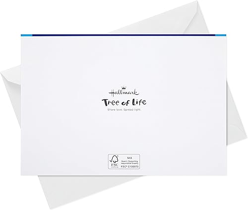 Miniatura 8 de Hallmark Tarjetas de Hanukkah del árbol de la vida en caja (40 tarjetas y sobres) Paloma azul y plateada