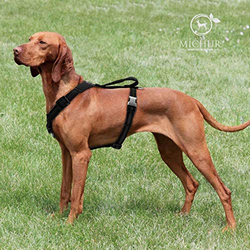 MICHUR Bruno Nero, Pettorina per Cani in Nylon