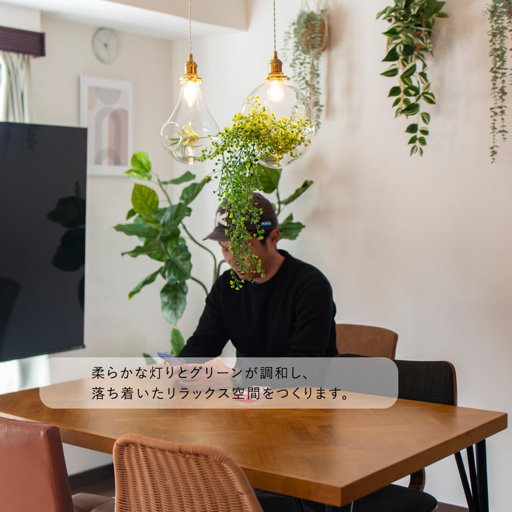 Amazon.co.jp : ムーラ mu-ra ペンダントライト LED テラリウム