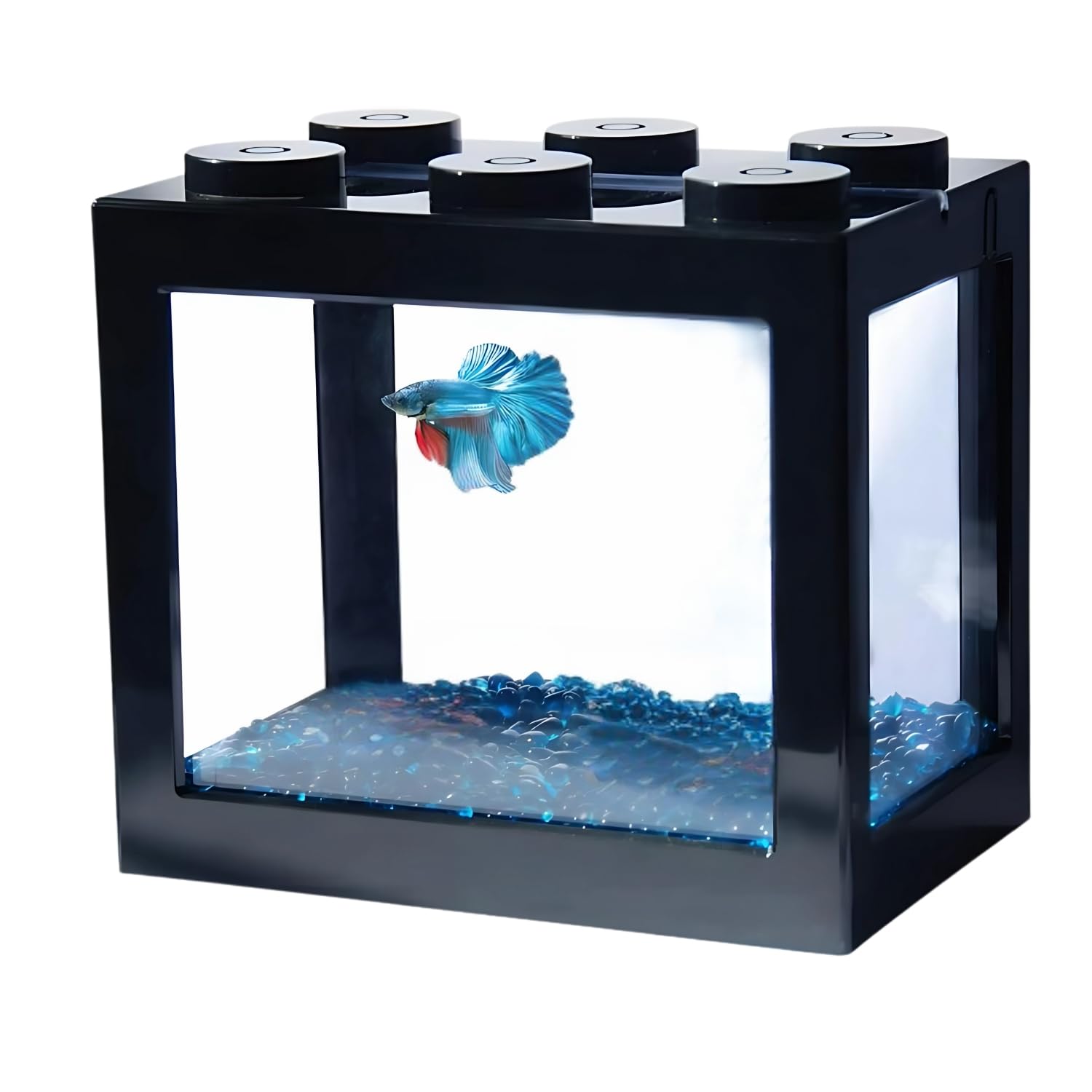 Sage Square Betta Fish Tank – Perfect for Small Spaces, Sturdy, Stylish Design for Beginners & Experienced Fish Keepers, Easy Maintenance Aquarium for Betta Fish, Ideal for Home, Office, Dorm Décor-image-17