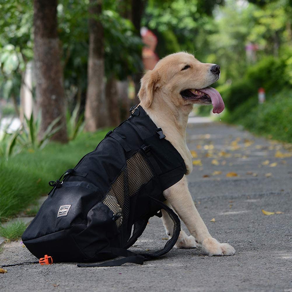 Confortevole Borsa per Cani Zaino per Cani E Gatti per Outdoor Escursione Pieghevole per Viaggio in Treno Trasportino per Animali Domestici