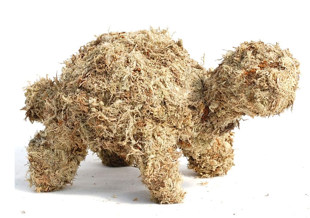 Small Turtle Topiary Form Filled with Sphagnum Moss - 10 INCHES Long, Large