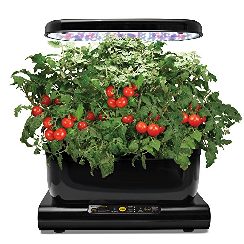 Miracle-Gro AeroGarden Harvest Elite con Kit de cápsulas de ...