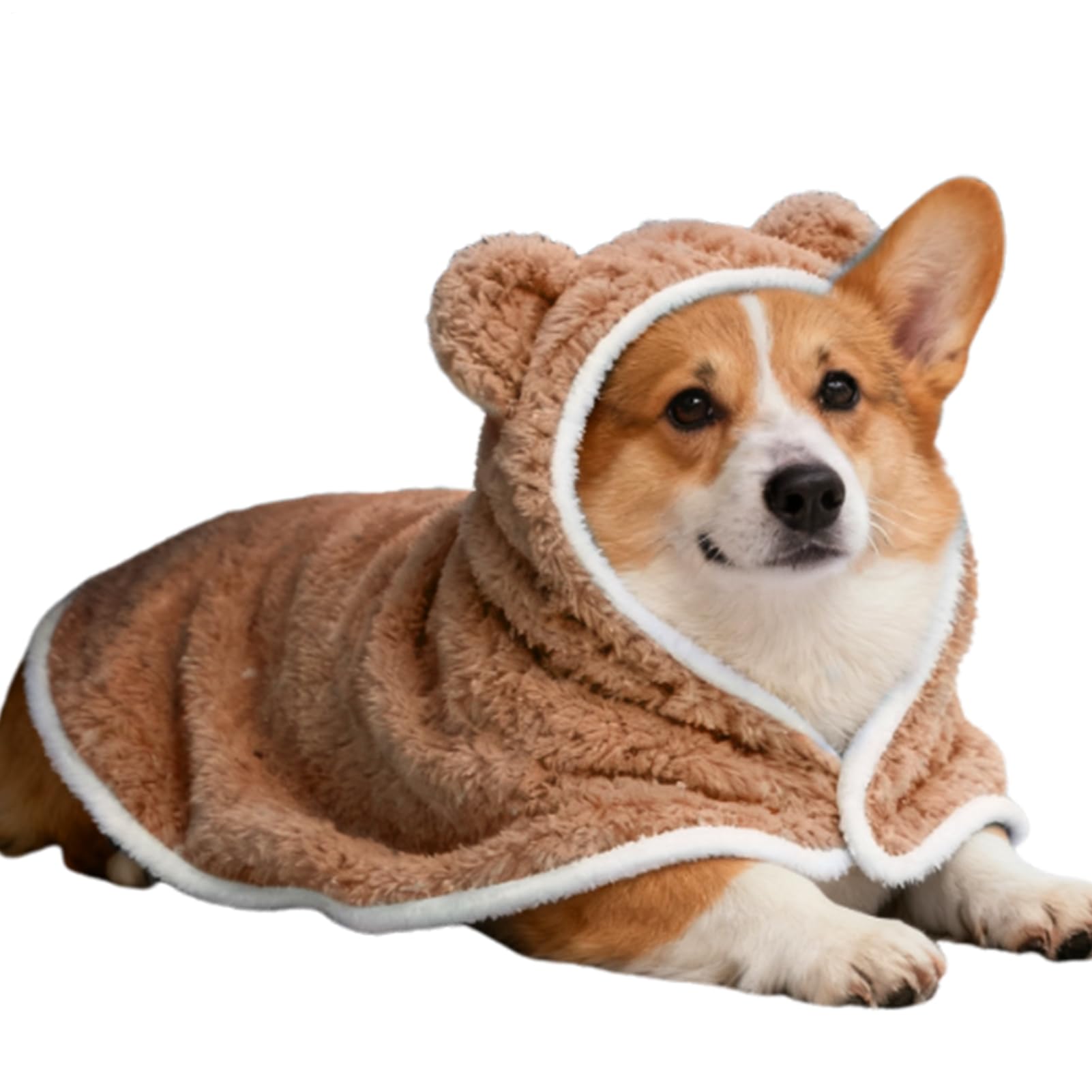 Manteau d'hiver pour chiot pour des soirées cocooning et sorties confort