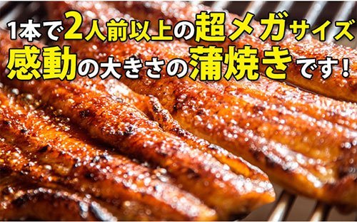うなぎ屋かわすい 国産うなぎ蒲焼き(200g)5本セット の商品画像 4