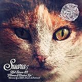 boruto ep 82 online subtitrat  Planes & Trains EP