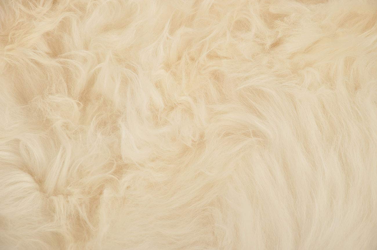 generisch Lammfell Teppich Creme Weiß Champagner 200 x 200 cm mit 8 Schwedischen Lammfellen