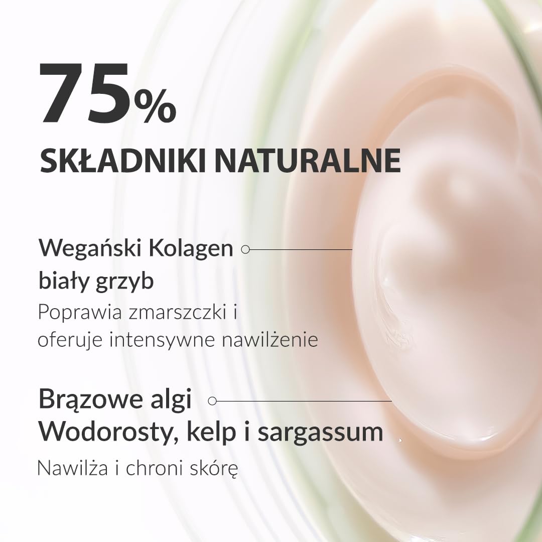 [Mizon] Krem na Noc z Kolagenem Roślinnym Phyto (50ml) Wegański kolagen na bazie roślin, Drobne linie i zmarszczki, Nawilżanie, Pielęgnacja nocna (Phyto Plump Collagen Night Cream)