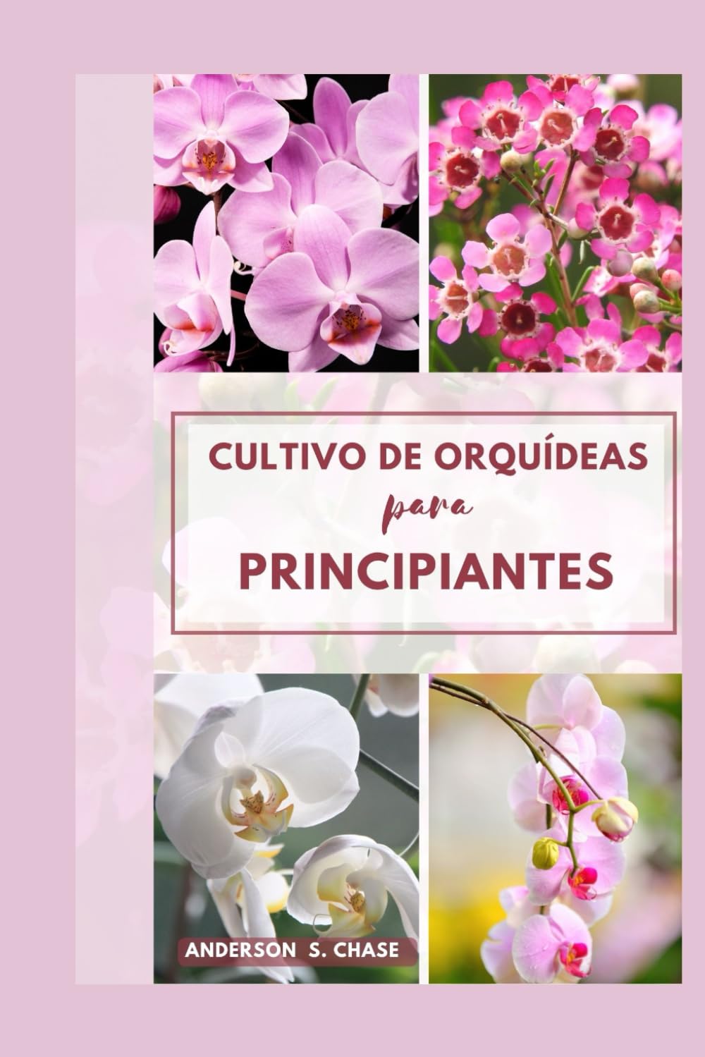 Cultivo de orquídeas para principiantes: Fácilpaso A Paso Gramoguía Sobre Cómo Crecery Cuidado Para Orquídeas En (Spanish Edition)