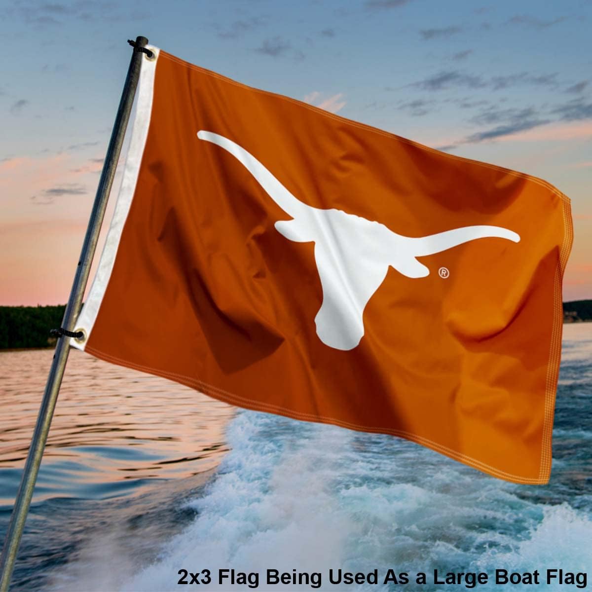 Texas Longhorns Small 2x3 Foot Flag - Image 4
