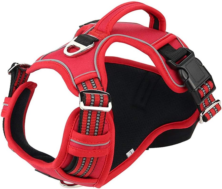 collare d'urto per cani di piccola taglia