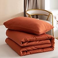 Vista 387 de ROSGONIA Juego de edredón tamaño Queen, color gris carbón, 3 piezas (1 edredón gris oscuro y 2 fundas de almohada) para todas las estaciones, ropa