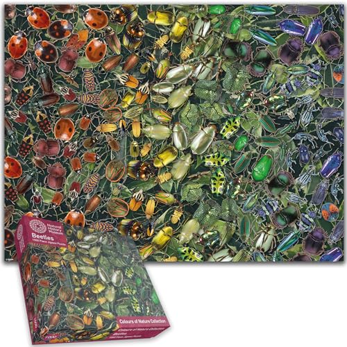 Natural History Museum 1000-Piece Beetle Jigsaw Puzzle: A Colorful Challenge Featuring Rhino Beetles, Ladybirds & More Size 66 x 50 cm