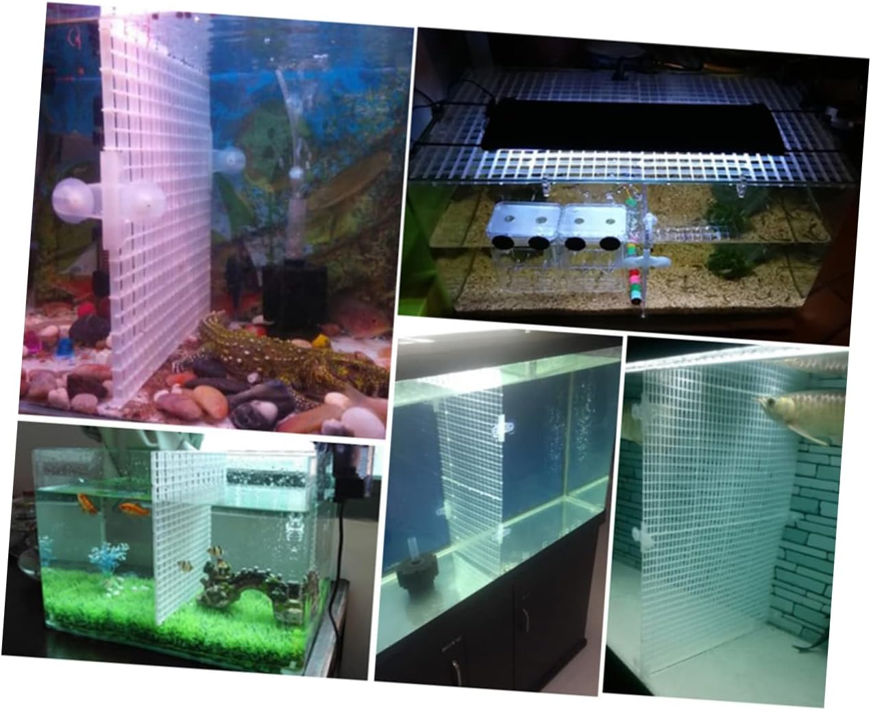 Garneck Spliced Aquarium Isolation Panel Set Lattice Plate Suction Cups Black Fish Tank Divider 30x15cm 4pcs for Aquatic Supplies