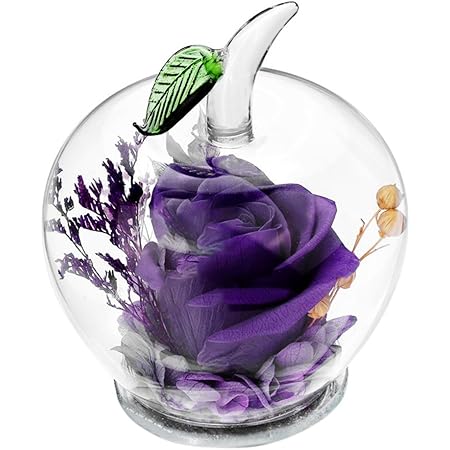 Rose Preservee Dans Un Verre En Forme De Pomme Fait Main Superbe Cadeau Pour Un Etre Cher A Noel La Saint Valentin La Fete Des Meres Un Anniversaire Un Mariage Violet Rose Preservee Dans Un Verre En Forme De Pomme Fait Main Superbe Cadeau Pour Un Etre Cher A Noel La Saint Valentin La Fete Des Meres Un Anniversaire Un Mariage Violet