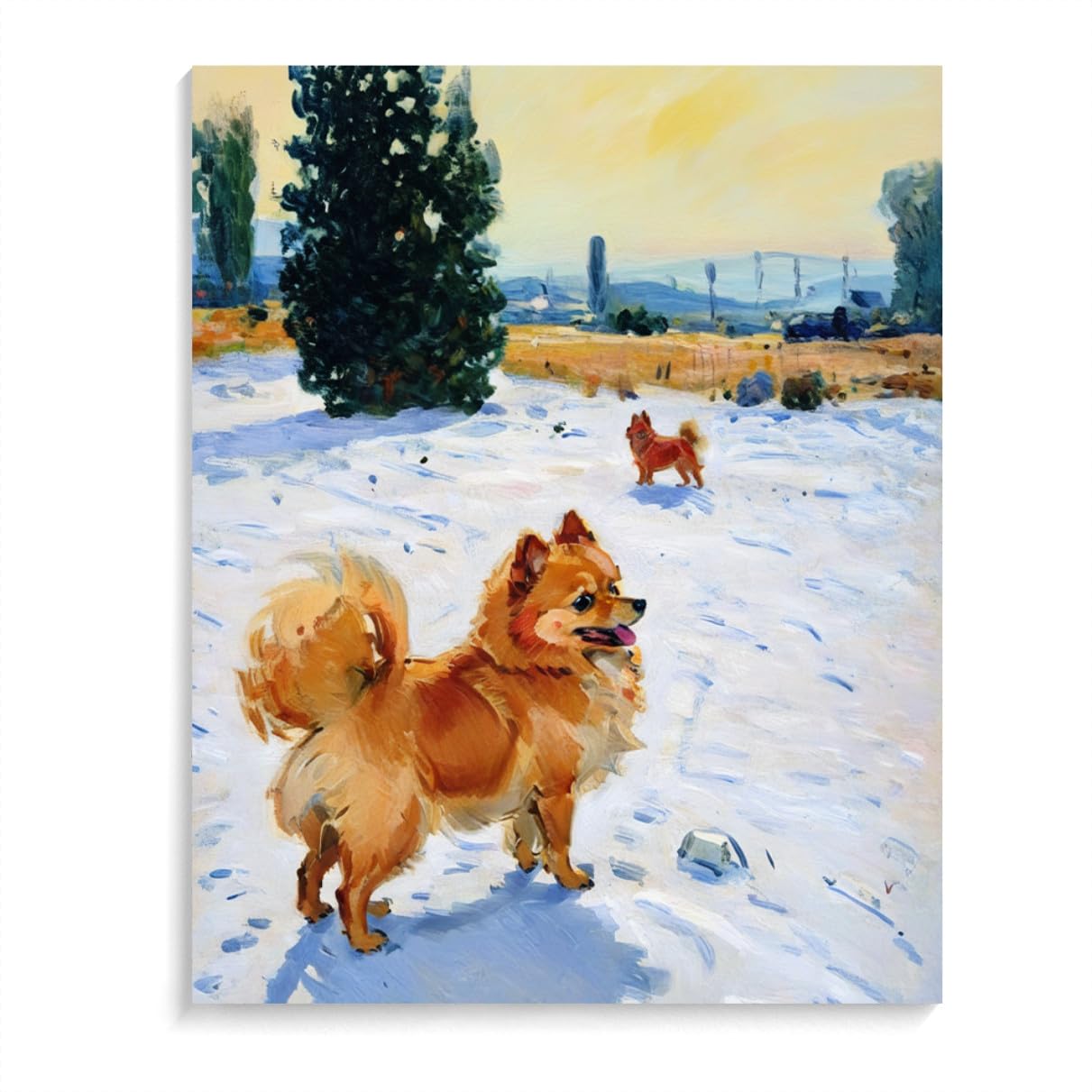 DIY Adult Paint by Number Kits Pomeranian Dog for Adults Beginners,Easy Acrylic Paint by Number,DIY by Numbers Kits on Canvas 12x16inch(30x40cm) Frameless