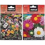 Semillas Batlle Mezcla Flores ENANAS anuales, Multicolor & Reina Marg. FLOR MARGARITA