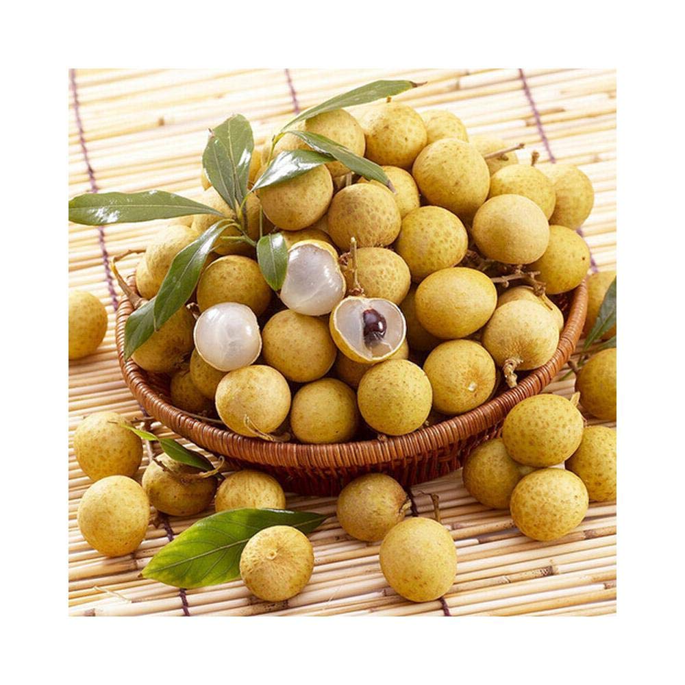 Amazon.co.jp: 干し龍眼 リュウガン 自然栽培 無添加 龍眼肉(Longan 