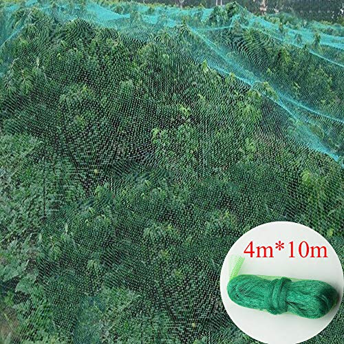 Good shop us Anti 4MX10M Bird Crop Netting Garden Plants Ponds Fruit Tree Mesh Protection, Green