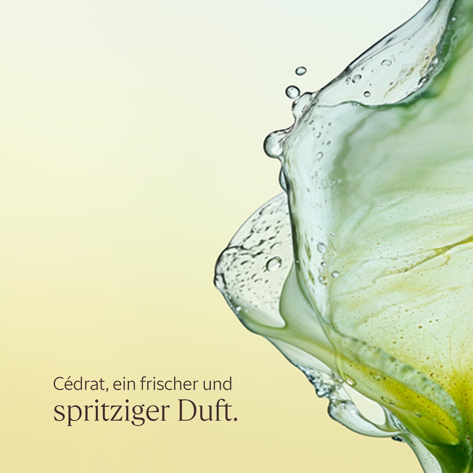 L'OCCITANE - Geschenkbox Cédrat Körperroutine