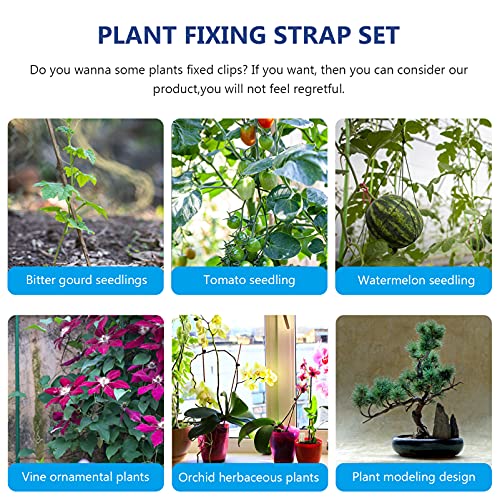UPKOCH 90pcs Greenhouse Plant Clip Cable Ties Vegetable Plant Vine Support Clamps Flower Growing Climbing Ties Garden Vine Fixed Clamps