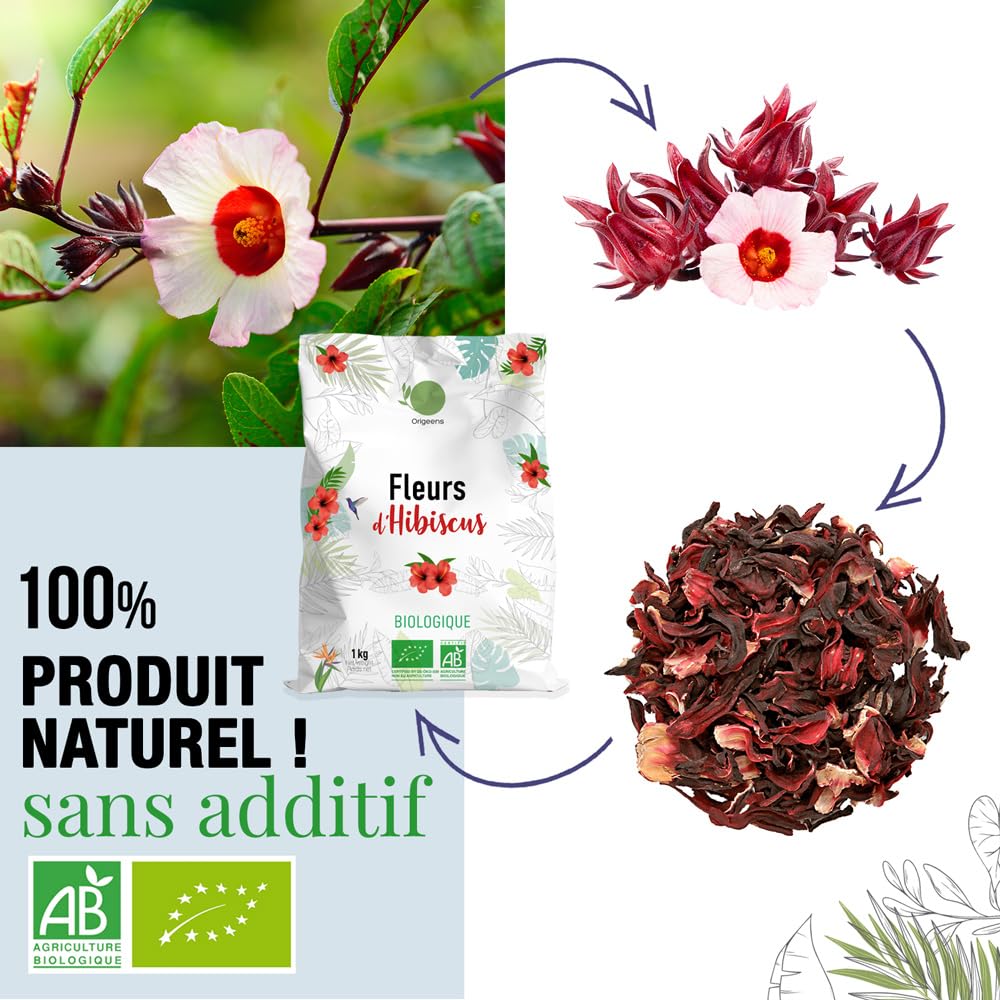 ORIGEENS HIBISCUS BIO 1kg Grade Supérieur | Fleur Hibiscus pour Bissap, Karkadé, Thé glacé, Infusion et Tisane | Infusion Detox Drainante | Fleurs d'Hibiscus Séchées Bio