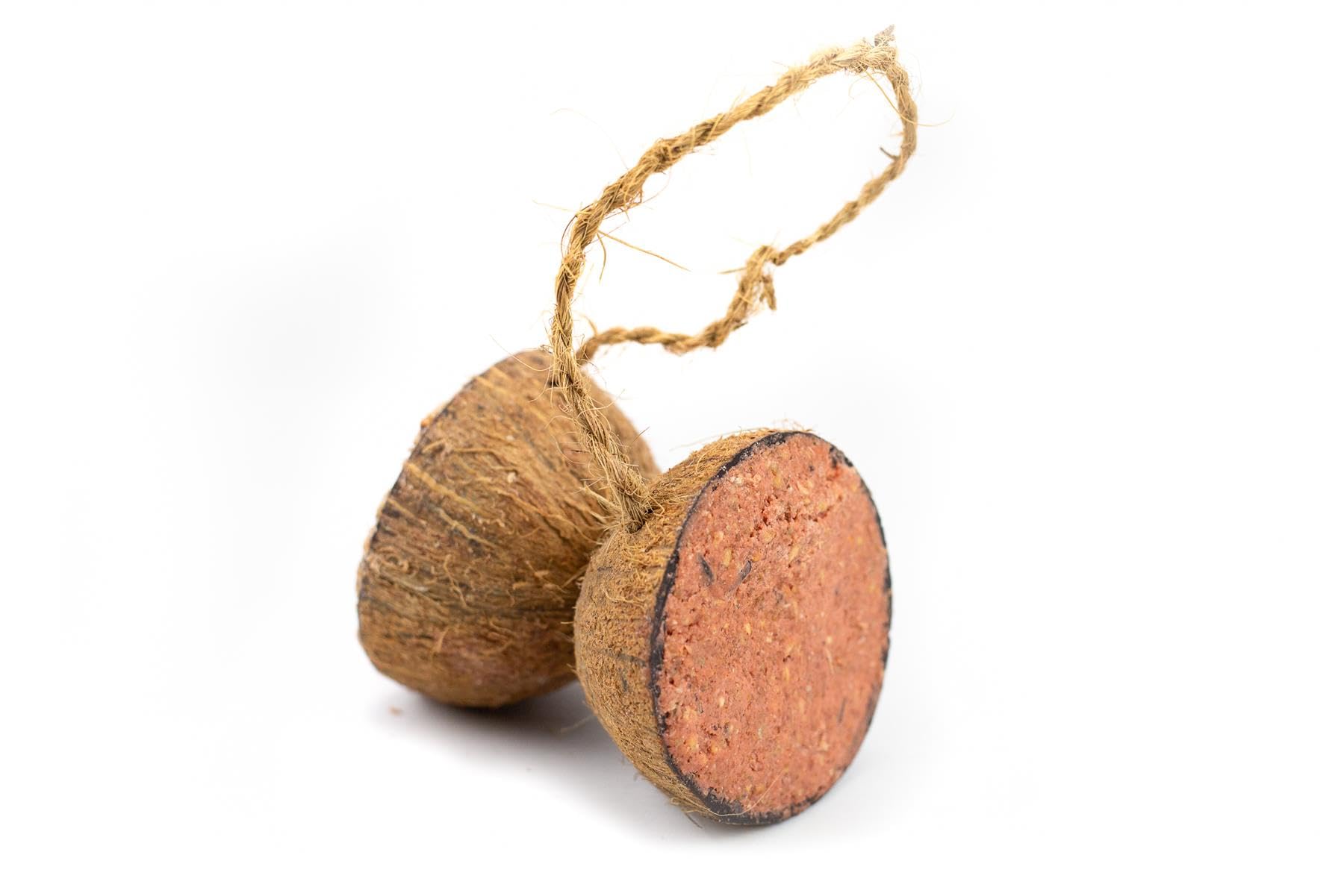 Chubby Suet Half Filled Coconuts Topped with ‎Dual Seed & Berry, Bird Feeder Coconut Halves, for Wild Birds, Coconut Shell Suet Birds Food, For Blackbirds, Woodpeckers,Starlings & Sparrows (1 Pack)