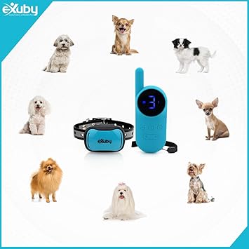 exuby bark collar