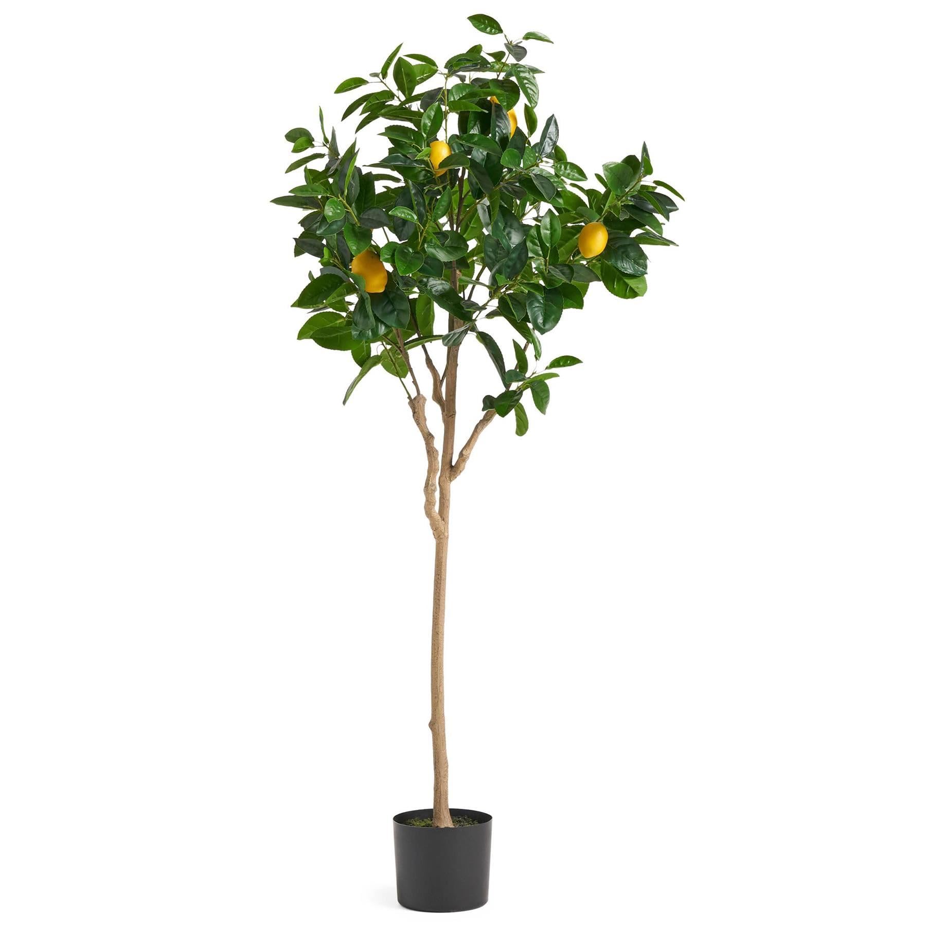 Botanik Realistic Artificial Fruit Trees