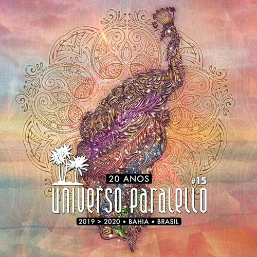 andrevictor @ Universo Paralello Festival 2019 (Chillout stage) Pratigi, Brasil