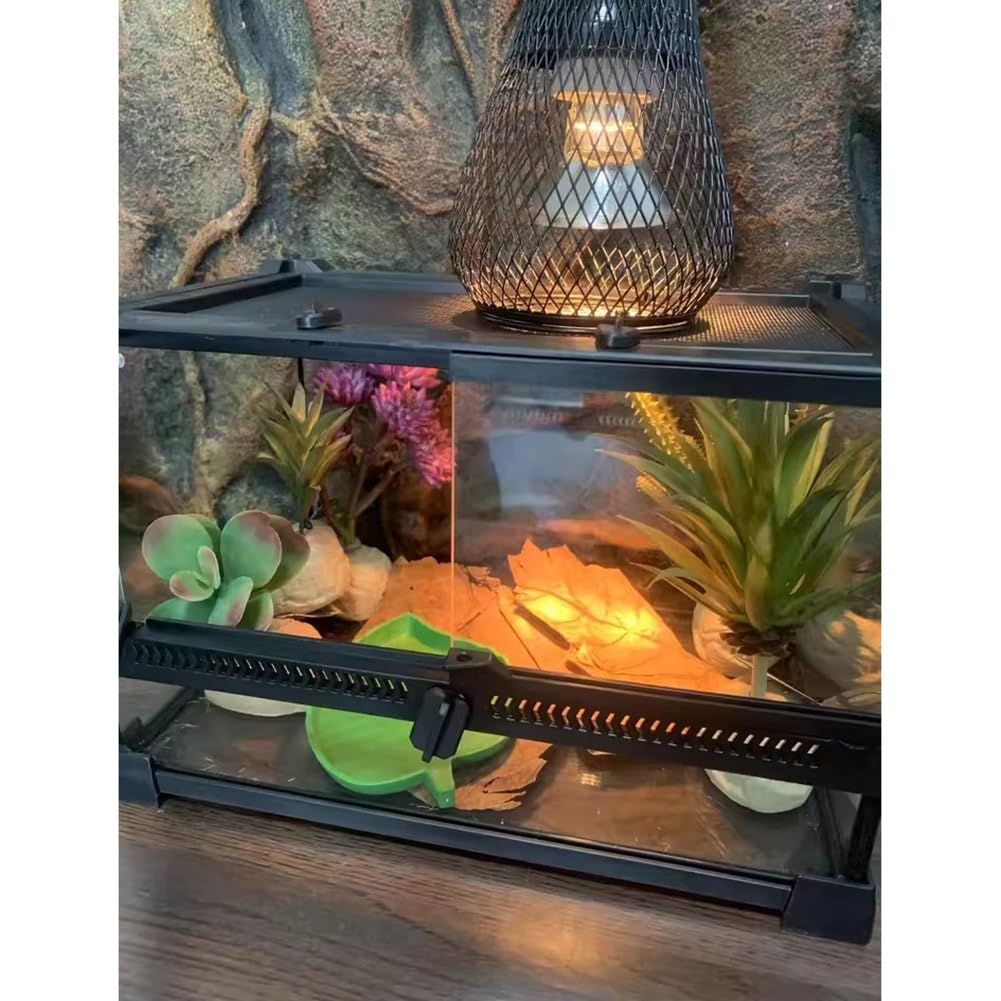 GZHERVICES Terrario para Reptiles, Lagarto, dragón Barbudo, Serpiente, Gecko Leopardo, camaleón, Lagarto, Reptil(30x20x20cm)