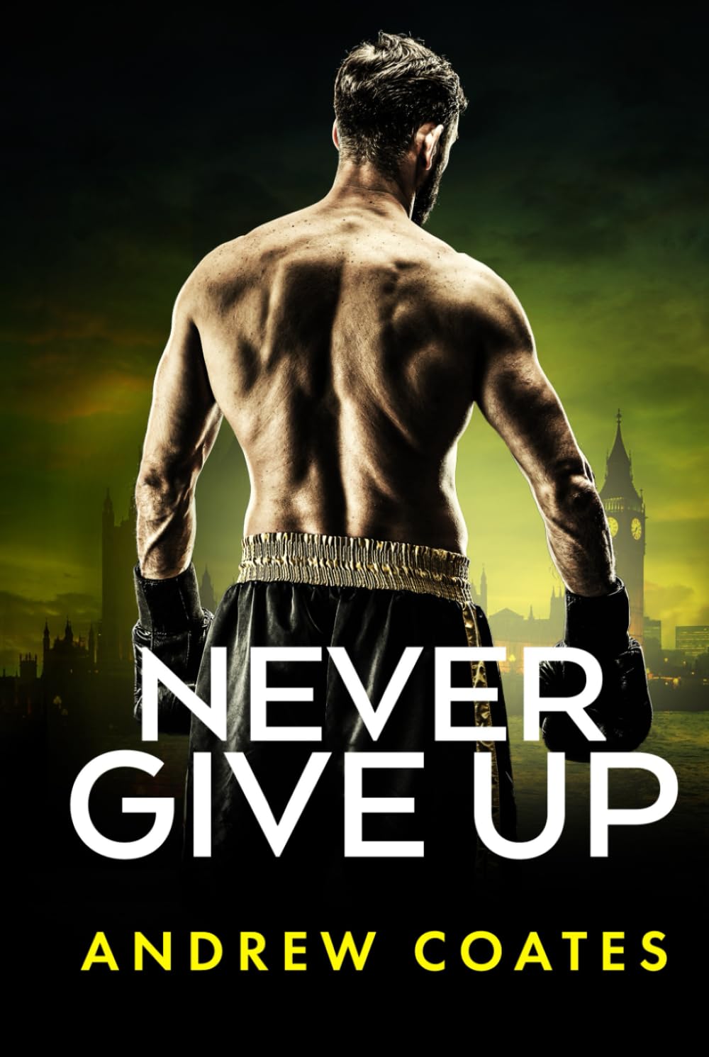 NEVER GIVE UP (Don't Believe the Truth - The Trilogy)