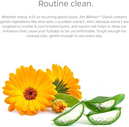 Miniatura 29 de Pet Parents® Pet WiPees™ - Toallitas multiusos para perros + piel y pelaje para mascotas, toallitas para perros, toallitas para perros y cachorros