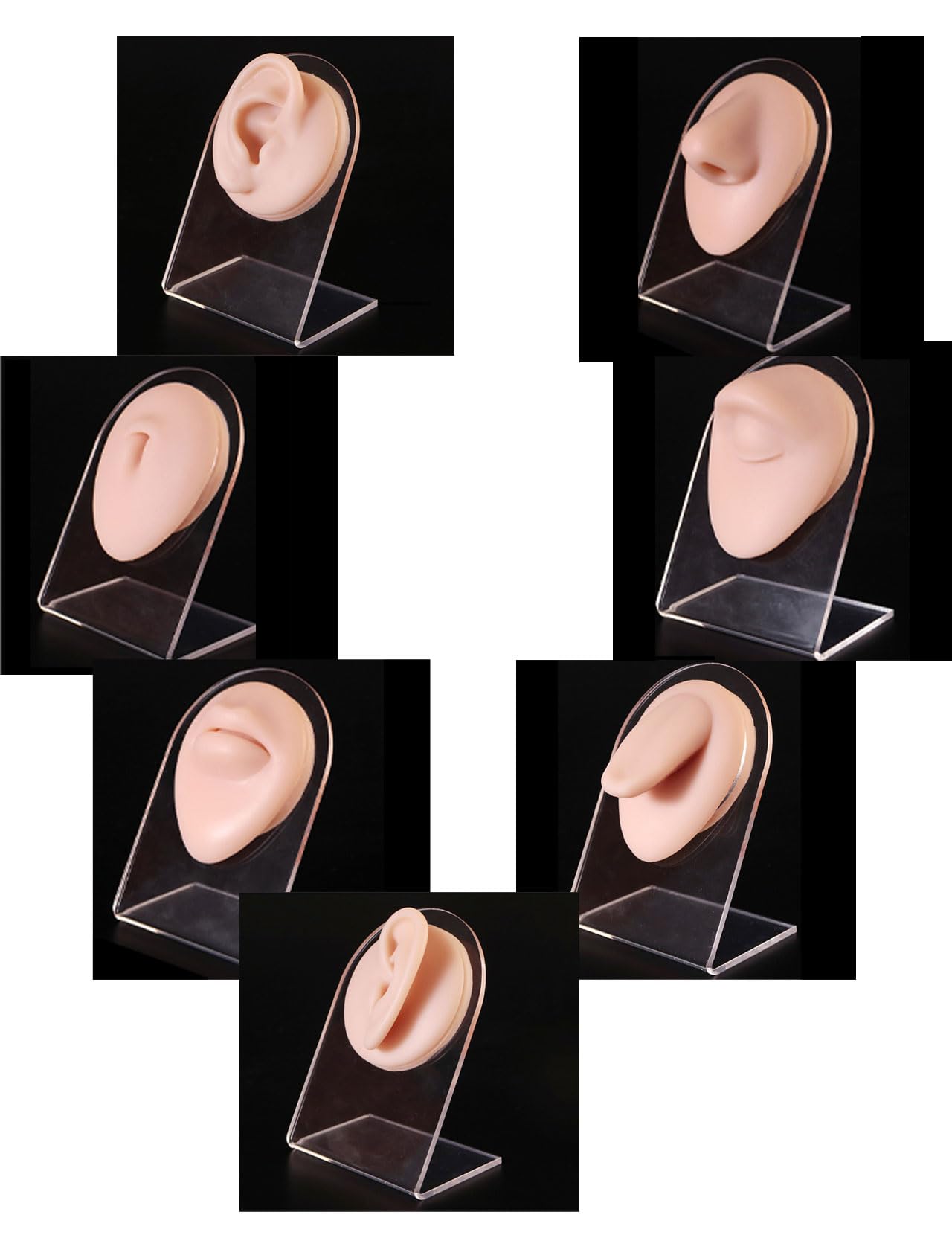 Silikon-Piercing Übungsmodell Set – Augenbrauen Nase Lippen Zunge Bauchnabel & Ohren – Ideal für Bananen Piercing Zungenpiercing Septum Piercing Helix Piercings & Vertical Labret Piercing