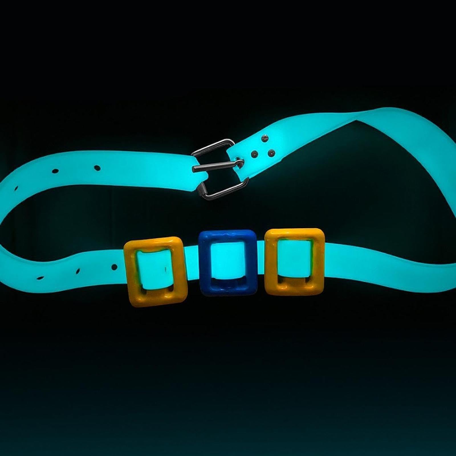 F Fityle Ceinture de lestage phosphorescente réglable et Polyvalente de 1,55 m pour la plongée en apnée et la plongée sous-Marine en Grotte.