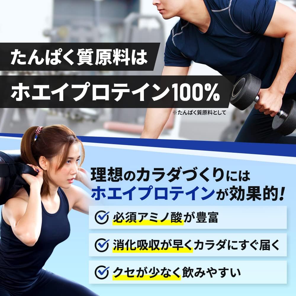 BULK SPORTS バルクスポーツ プロテインドリンク ビッグホエイ RTD たんぱく質 20g配合 はちみつりんごヨーグルト味 300g x 15パック