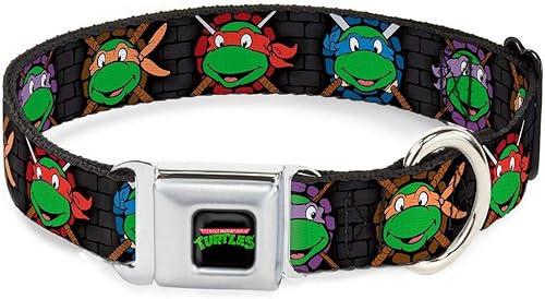 Buckle-Down Collar de perro con hebilla de cinturón de seguridad, clásico TMNT ExpessionsBattle Gear Grismulticolor, 1.5 pulgadas de ancho, se