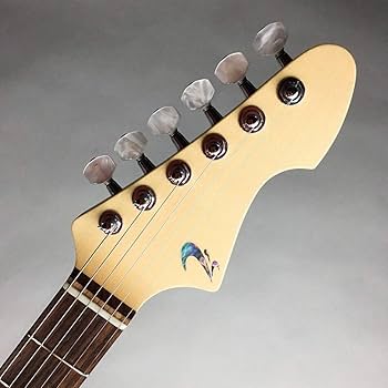 Amazon | T's Guitars DST-DX24/Custom エレキギター ティーズ