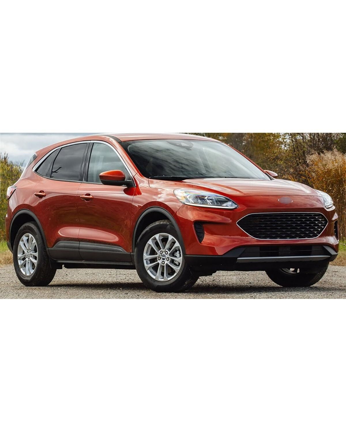Coperchio Specchietto Laterale Decorazione Per Ford Escape Kuga 2020-2021 Specchietto Retrovisore Calotta Specchio Retrovisore