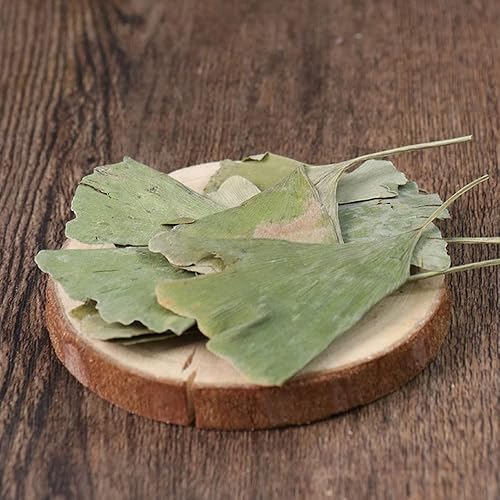 Miniatura 3 de Hojas secas de Ginkgo Biloba Ginkgo Biloba Hojas sueltas secas - Gingko Maidenhair Tree Yinxingye (8.82 oz)