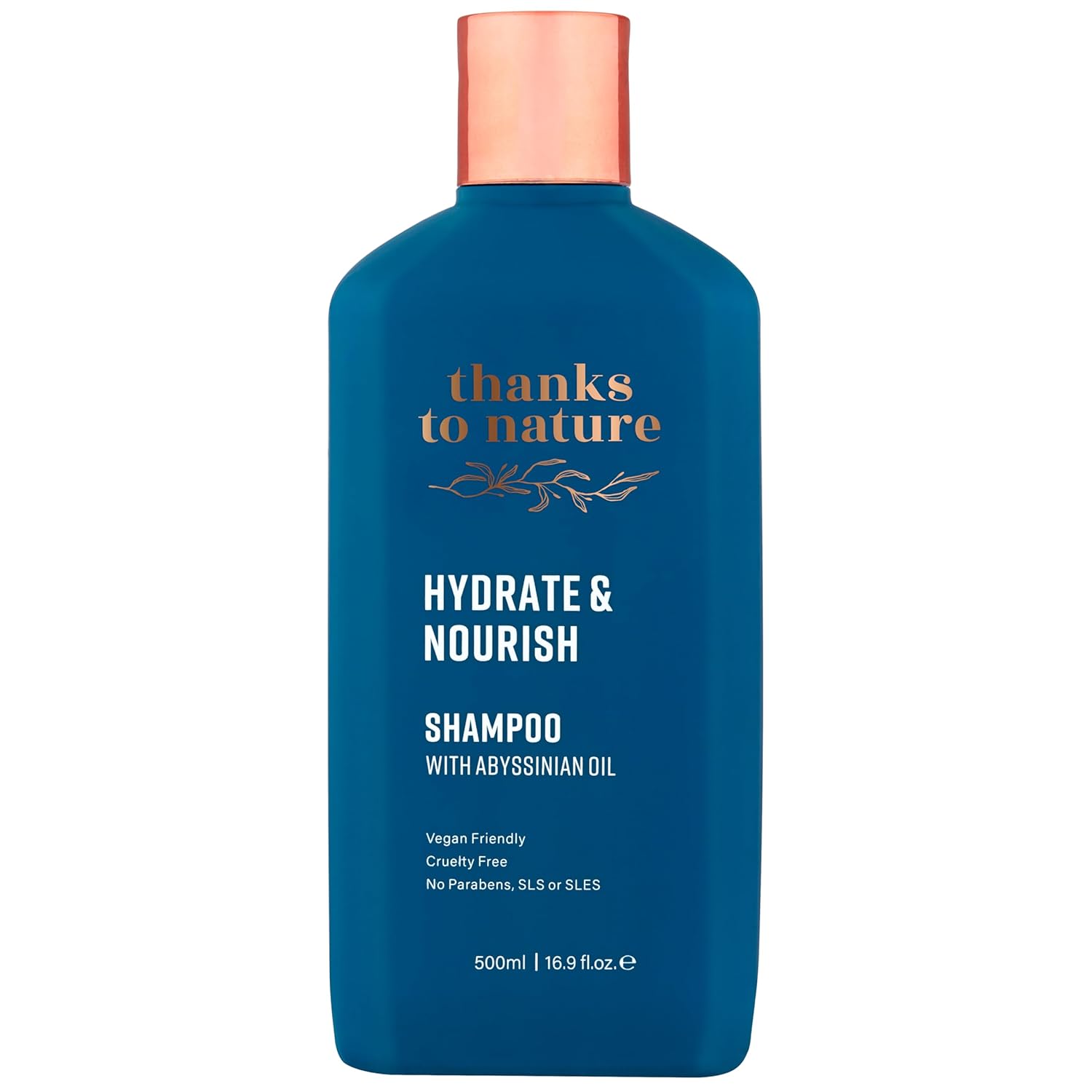 Hydrate and Nourish Shampoo, Moisturizing Shampoo with Abyssinian Seed Oil and Vitamin E, Restore Moisture, Shine and Softness to Dry Hair 16.9 fl oz