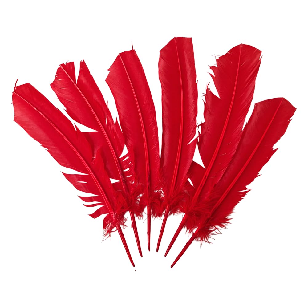 Turkey Feather Red, Pack of 6