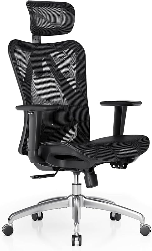 Top 5 Ergonomic Office Chairs on Amazon (2026)