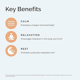 BRAINMD Dr Amen Put Me To Sleep Naturally - 90 Chewable Tablets - with Melatonin, L-Theanine, Magnesium, GABA, Vitamin B6 & 5-HTP - Gluten Free - 45 Servings