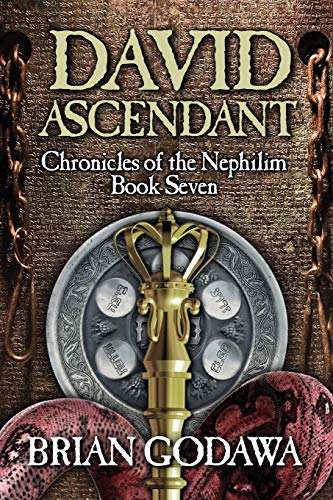 David Ascendant view 2