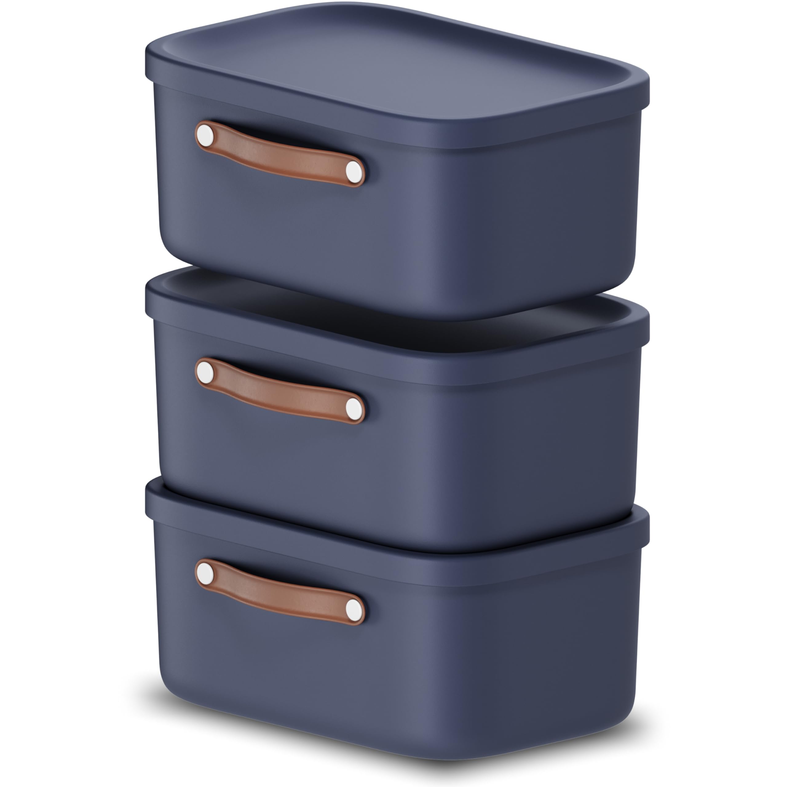 Rotho Maloja Storage Box